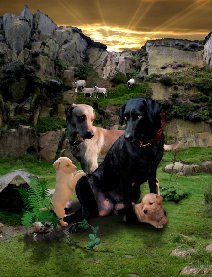 Mother and Child sml